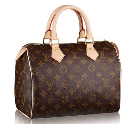 big speedy louis vuitton|louis vuitton speedy price.